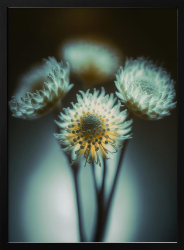 Poster - Low Light dark wood poster frame