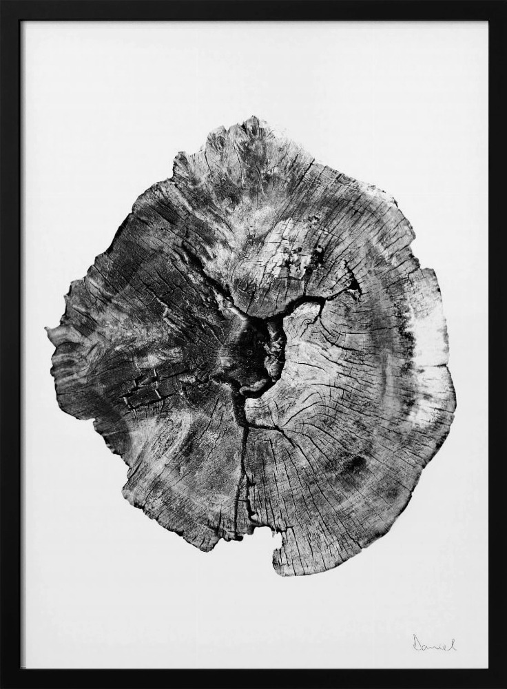 Póster - Oak Log dark wood poster frame