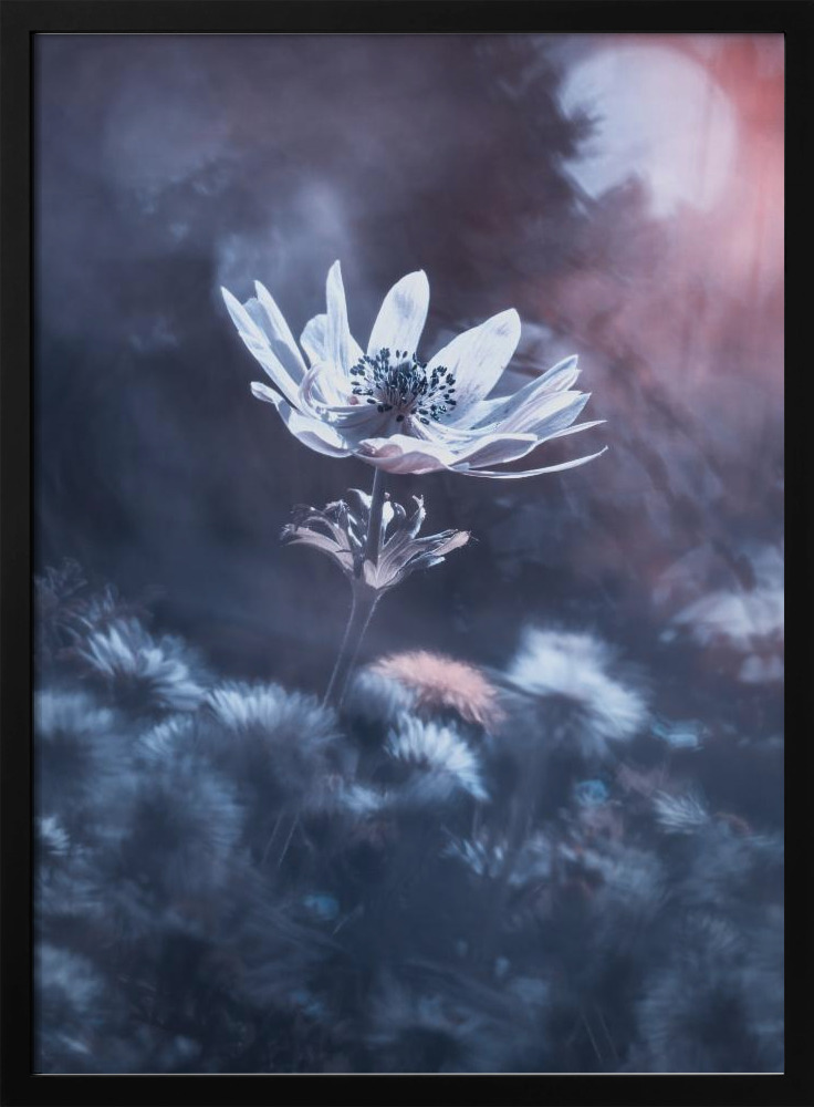Poster - The divine sound of creation dark wood poster frame