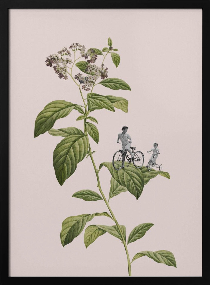 Poster - Botanical cycling dark wood poster frame