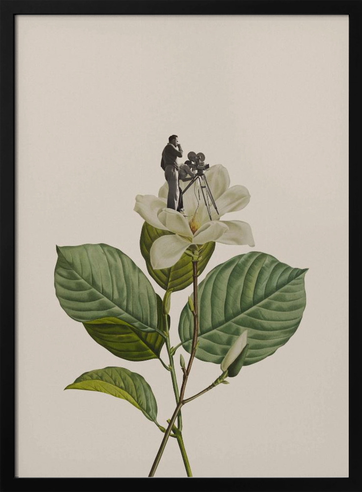 Poster - Botanical vintage cameraman dark wood poster frame