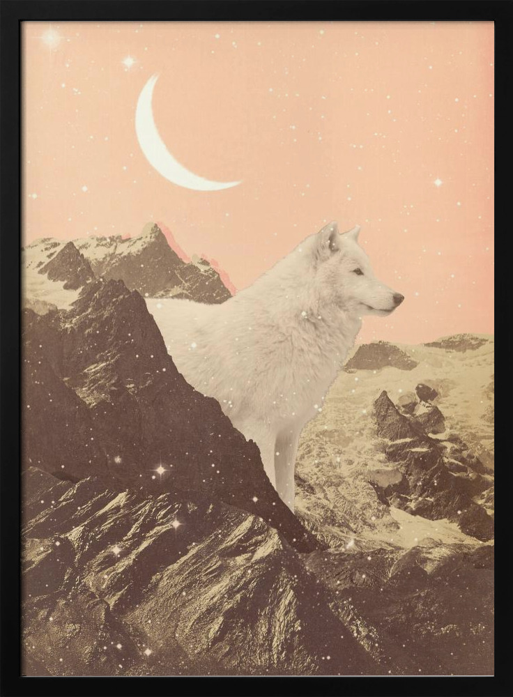 Poster - Giant White Wolf In Mountains dark wood poster frame