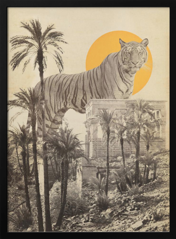 Poster - Giant Tiger In Ruins dark wood poster frame