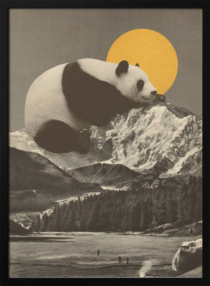 Poster - - Giant Panda Nap dark wood poster frame