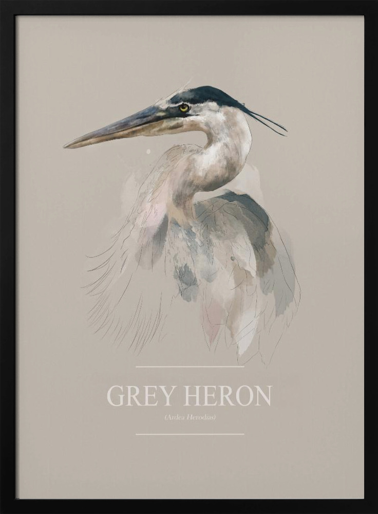 Affiche - Grey Heron cadre de poster en bois foncé