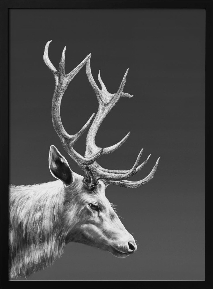 Plakat - Reindeer ramka na plakat z ciemnego drewna