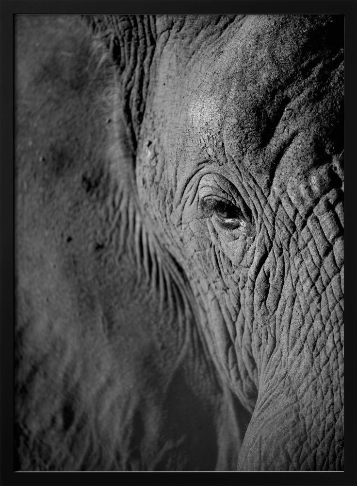 Poster - African Dream dark wood poster frame