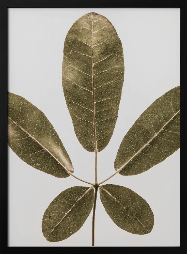 Poster - Autum Leaf dark wood poster frame
