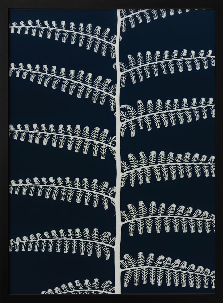 Poster - Fern dark wood poster frame