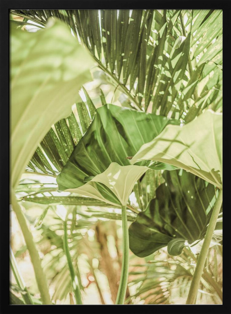 Poster - Garden Salad dark wood poster frame