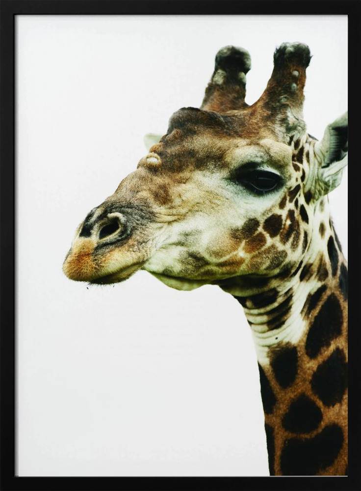 Poster - Hello dark wood poster frame