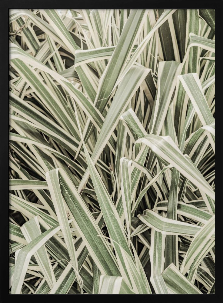 Poster - Jazzy Jungle dark wood poster frame