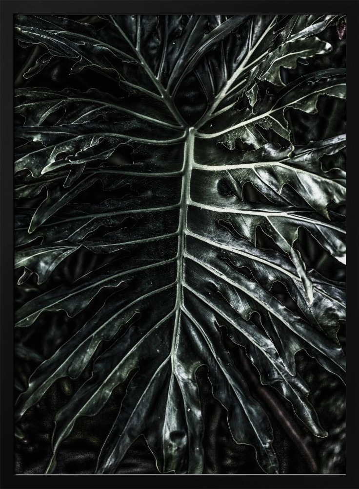 Poster - Jungle dark wood poster frame