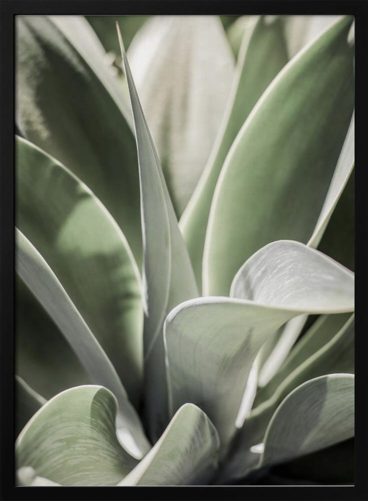 Poster - Karro Bloom dark wood poster frame