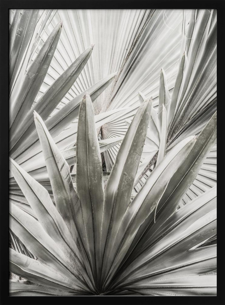 Poster - Lala Palm dark wood poster frame