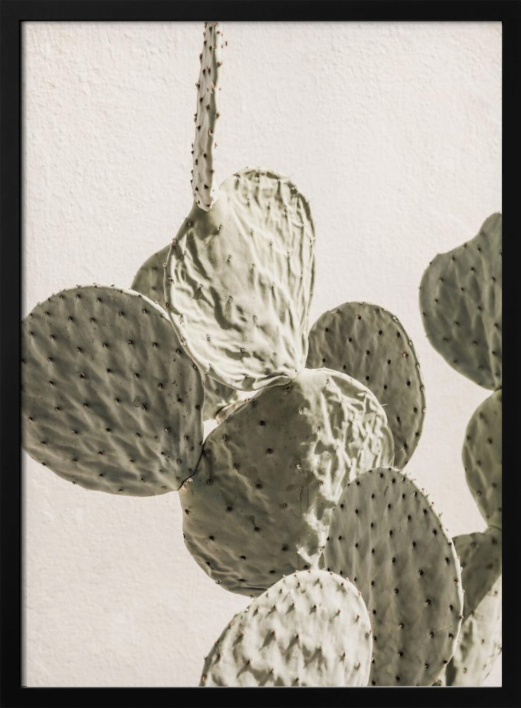 Poster - Mexi Catus 02 dark wood poster frame