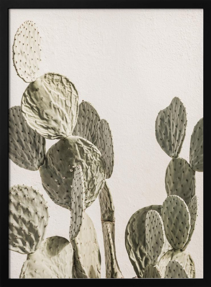 Poster - Mexi Catus dark wood poster frame