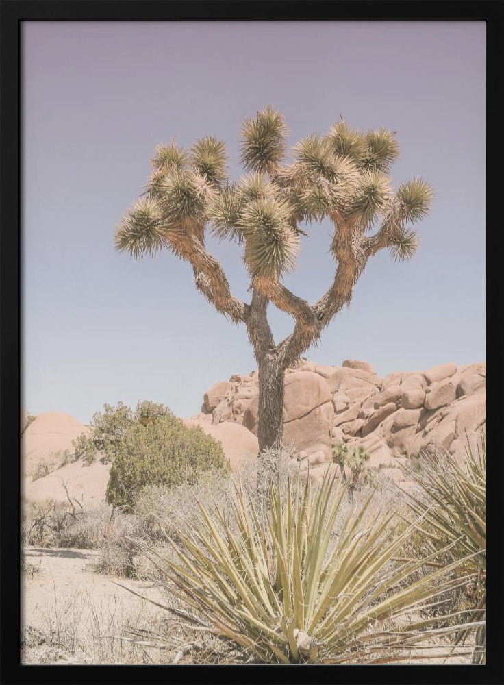 Poster - Mojave Desert dark wood poster frame