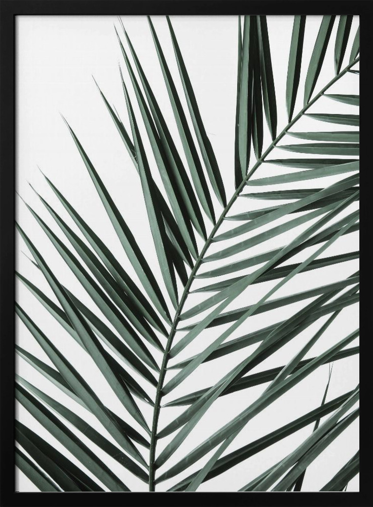 Poster - My Mint Moment 19 dark wood poster frame