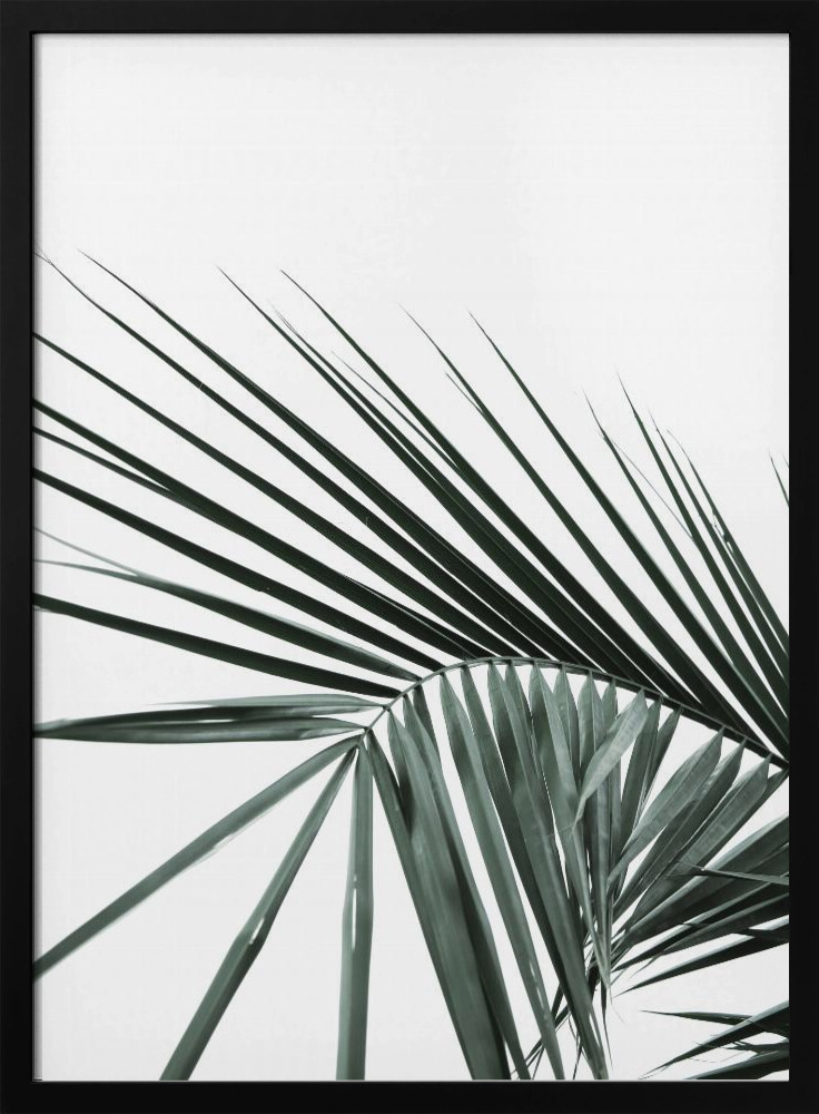 Poster - My Mint Moment 20 dark wood poster frame