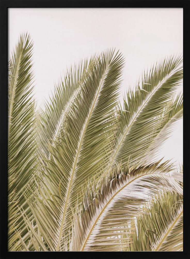Poster - Oasis Palm 01 Oa 01 posterframe van donker hout