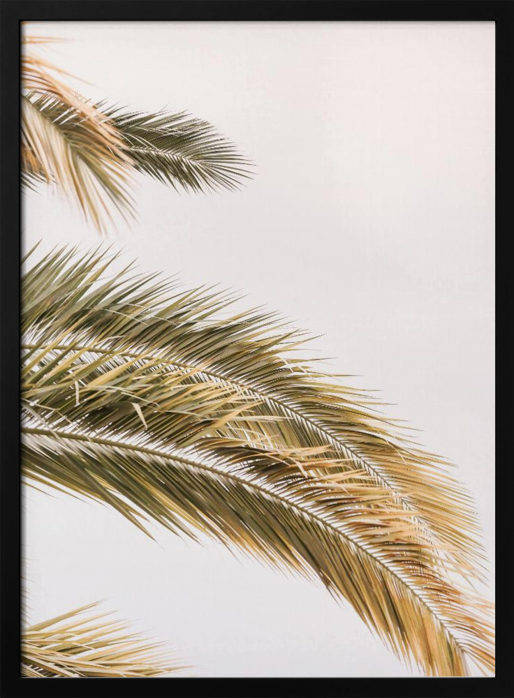 Poster - Oasis Palm 02jpg dark wood poster frame