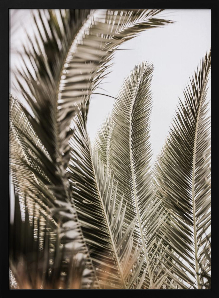 Poster - Palm Love dark wood poster frame