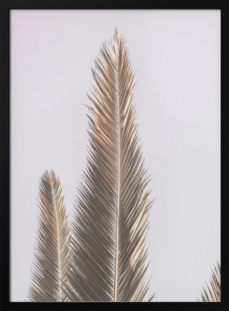 Poster - Phoenix Palm dark wood poster frame