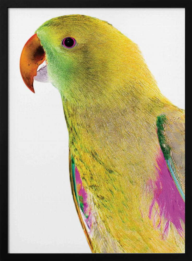 Poster - Polly dark wood poster frame