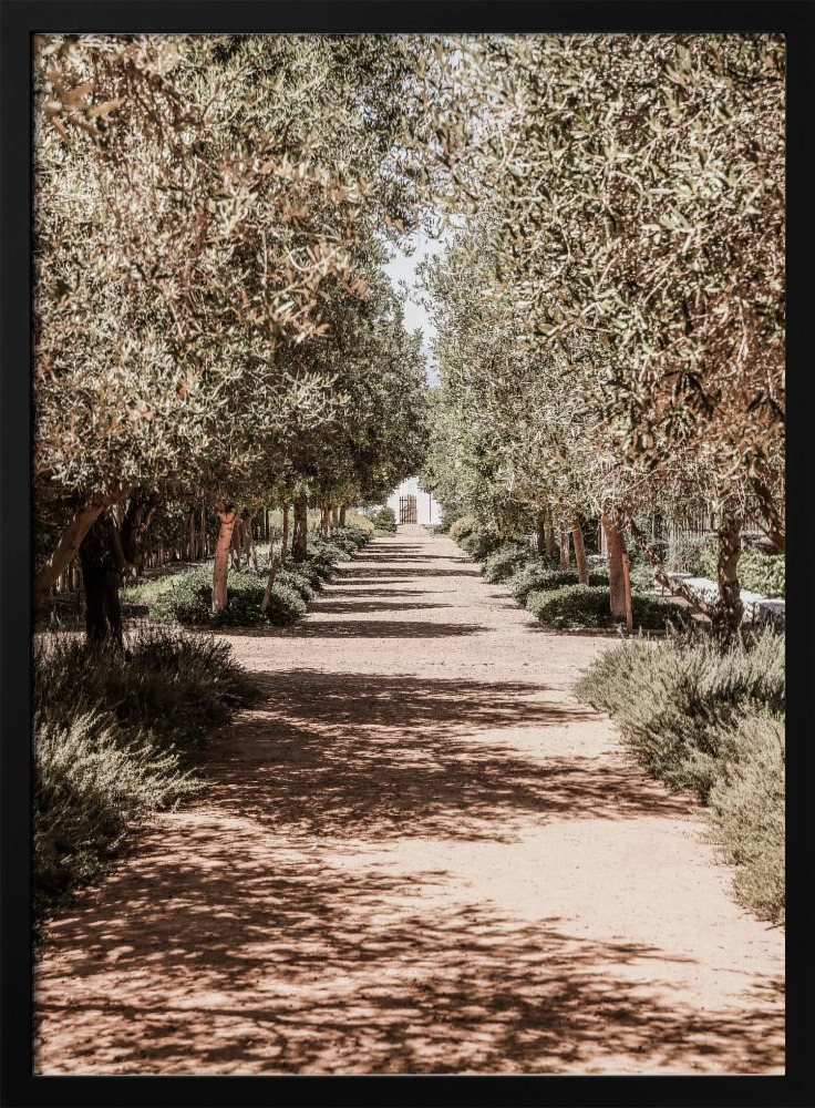 Affiche - Secret Garden cadre de poster en bois foncé