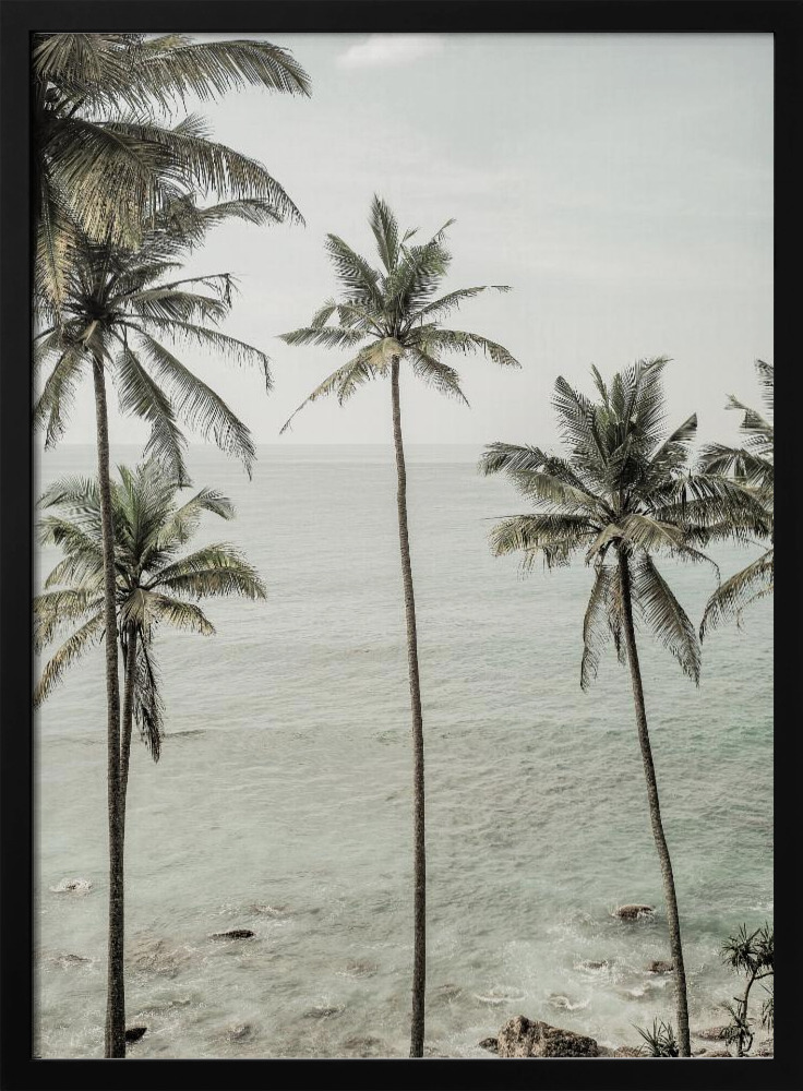 Plakat - Tropical Dreams ramka na plakat z ciemnego drewna