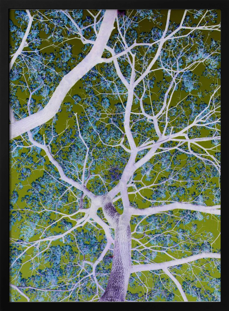 Poster - Twilight No2 posterframe van donker hout