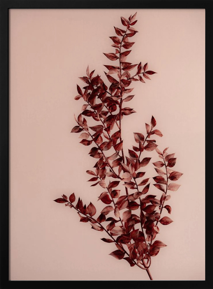Poster - Last Summer 18 dark wood poster frame