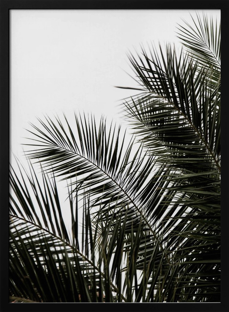 Poster - Palm Leaves 3 dark wood poster frame