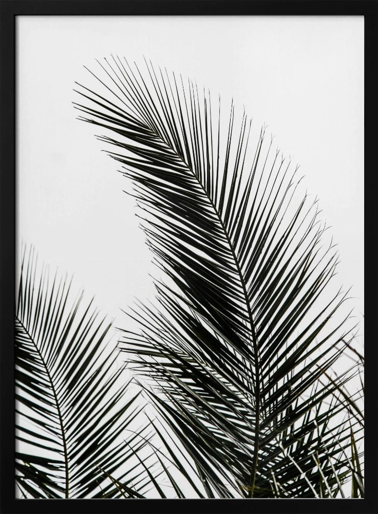 Poster - Palm Leaves 1 dark wood poster frame