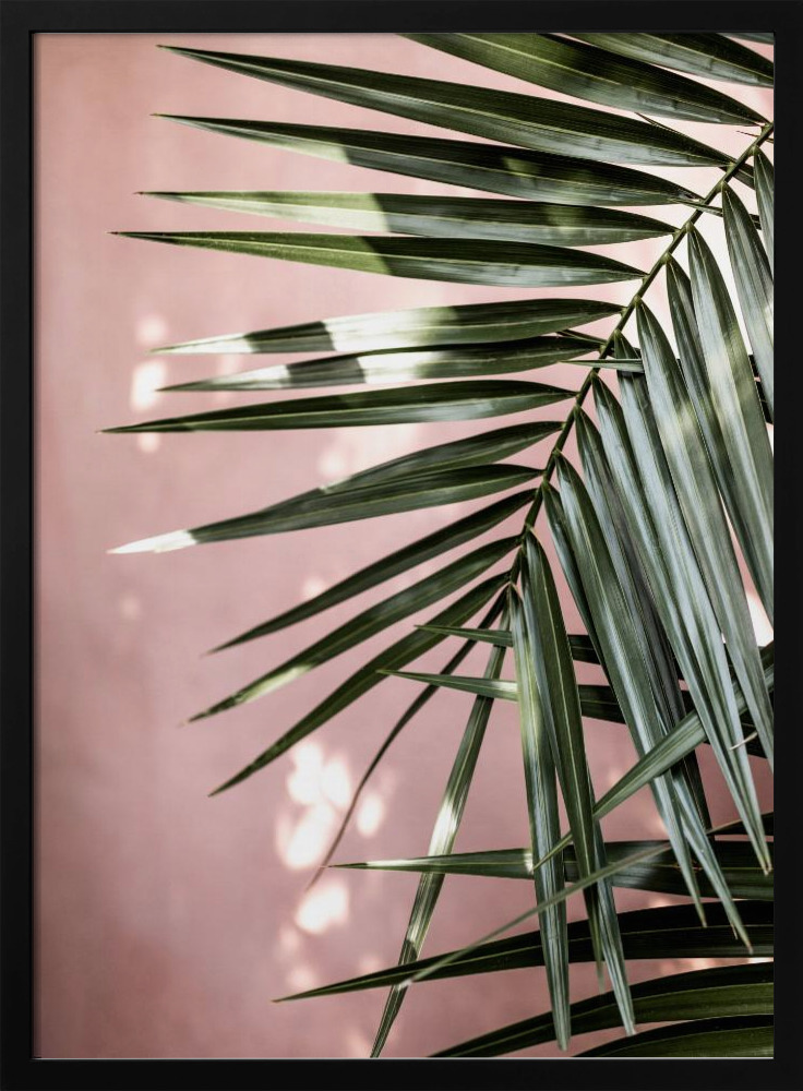 Poster - Palm Leaves 23 posterframe van donker hout
