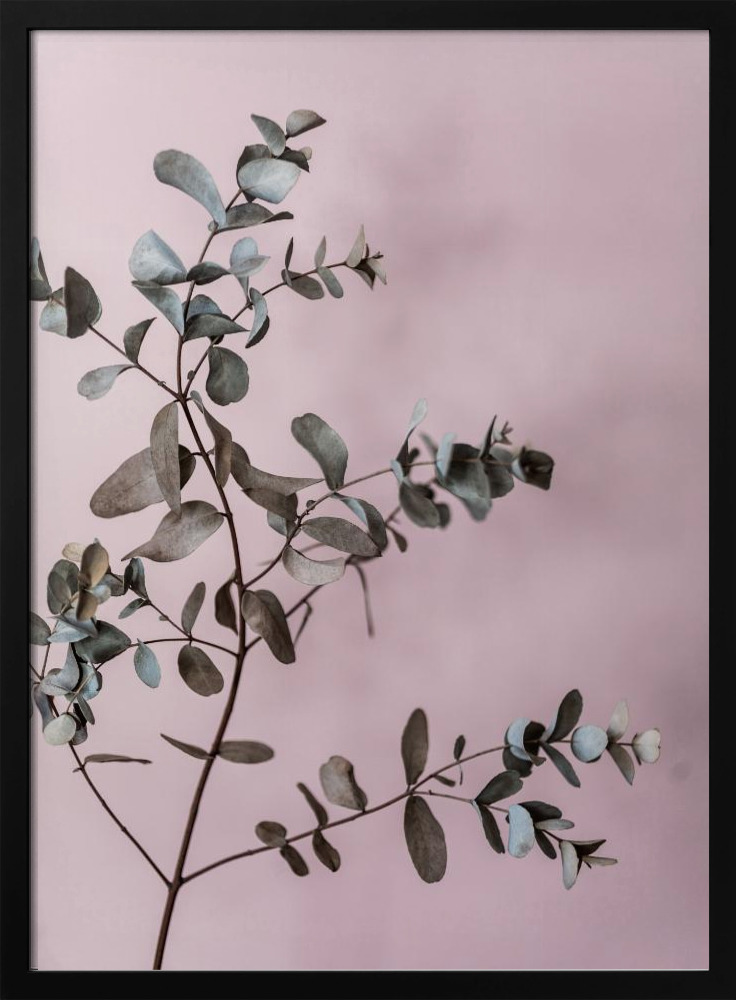Poster - Eucalyptus 12 dark wood poster frame