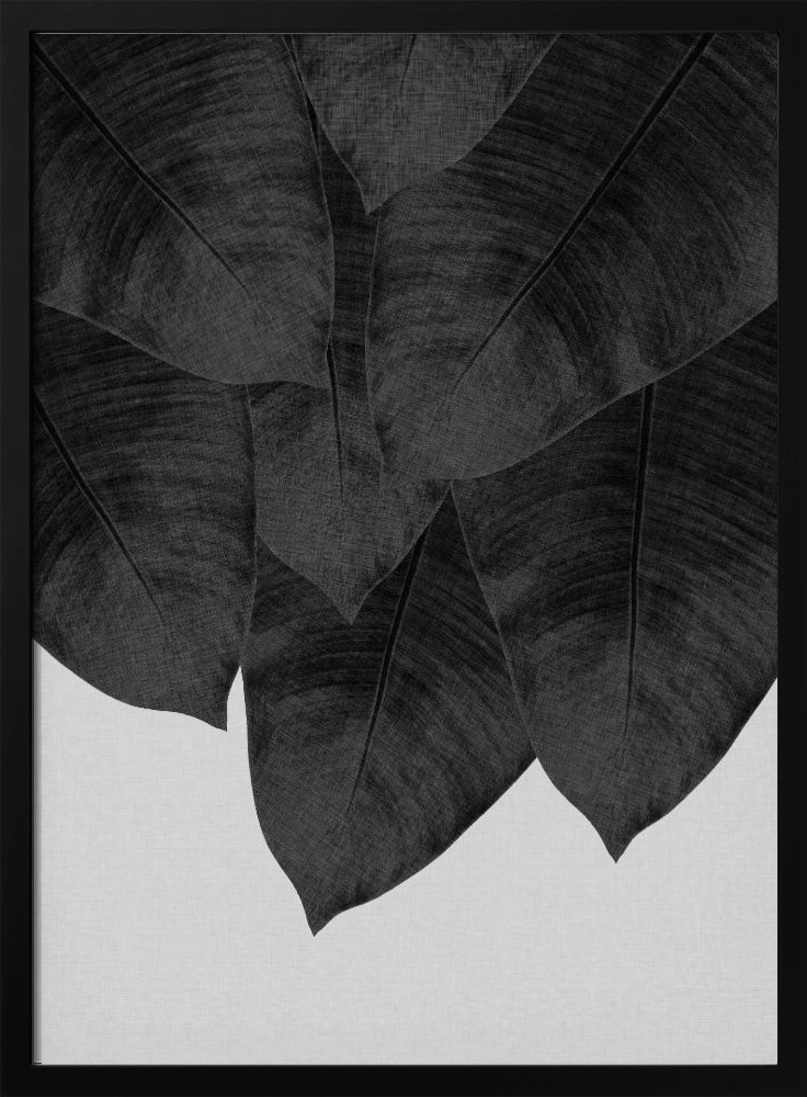 Affiche - Banana Leaf Black & White III cadre de poster en bois foncé