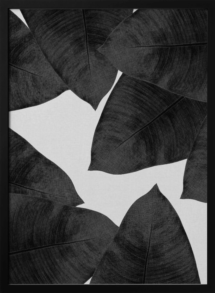 Poster - Banana Leaf Black & White II posterframe van donker hout