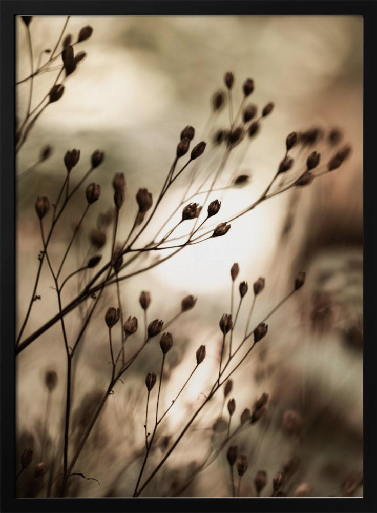 Affiche - Autumn Lights cadre de poster en bois foncé