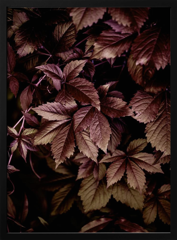 Poster - Autumn Leaves 13 posterframe van donker hout