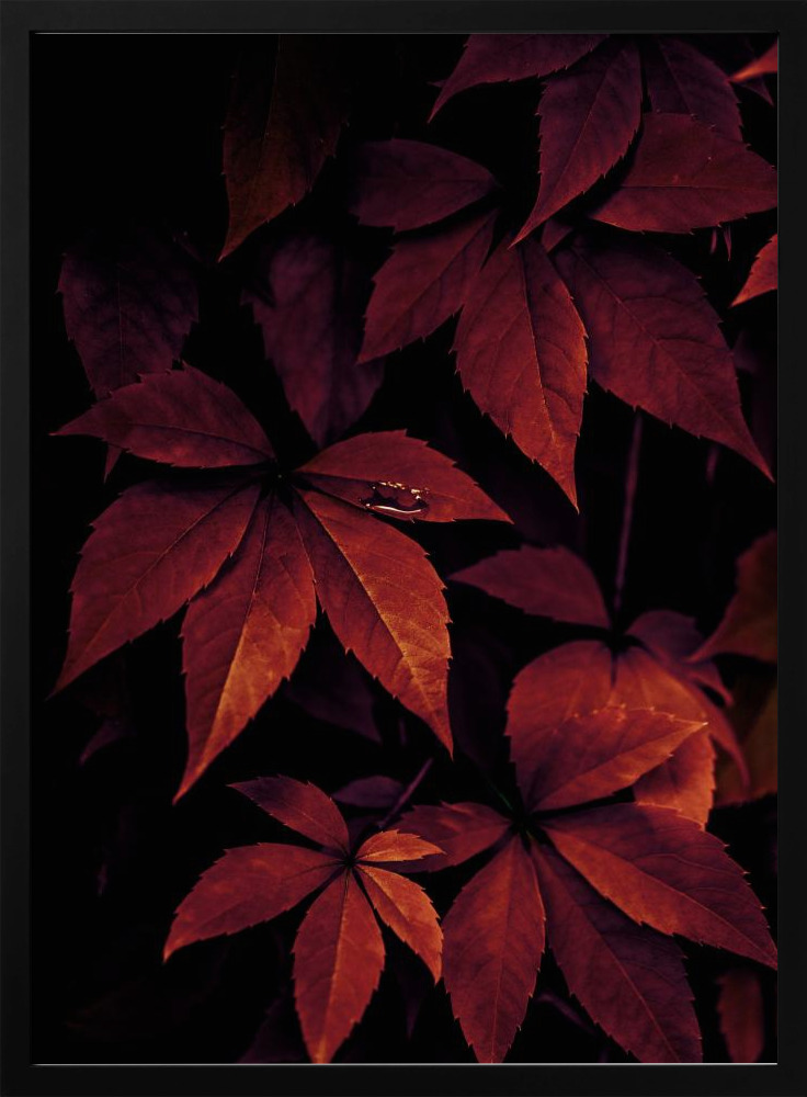 Poster - Dark Leaves 7X posterframe van donker hout