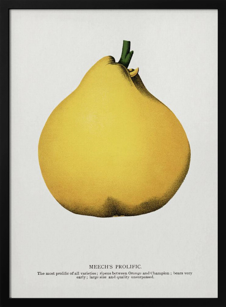 Poster - Meech's Prolific Pear Lithograph posterframe van donker hout
