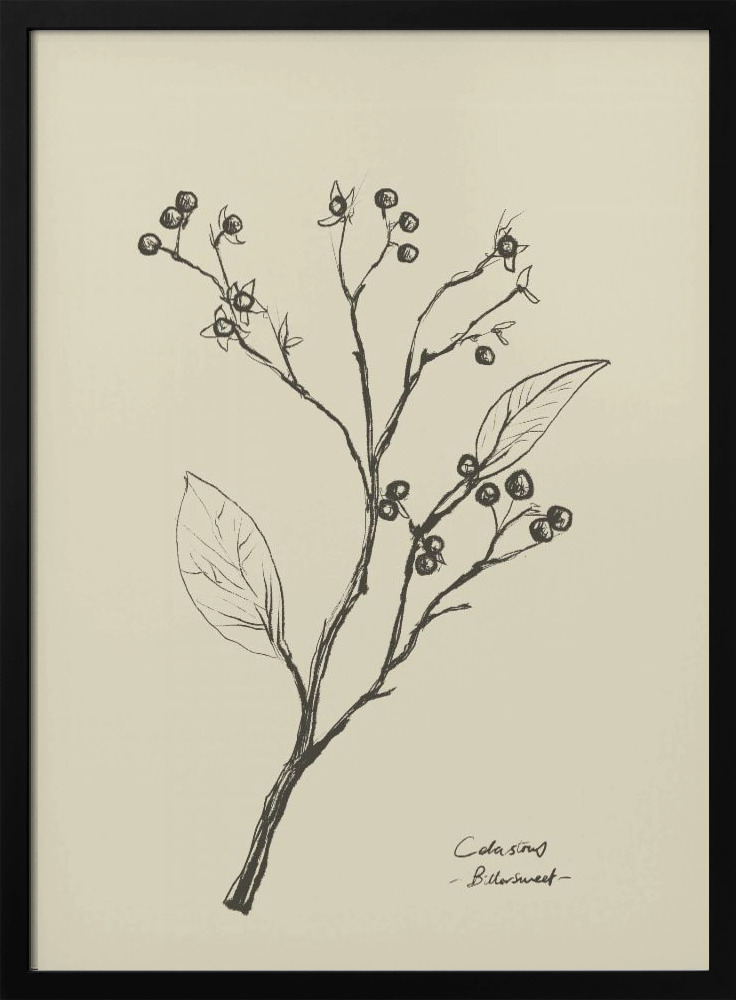 Poster - Floral 2 dark wood poster frame