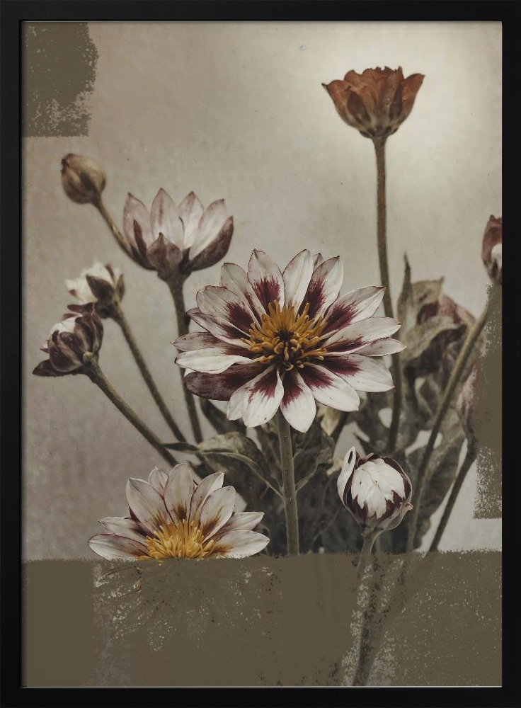 Poster - 5 Vintage Flowers dark wood poster frame