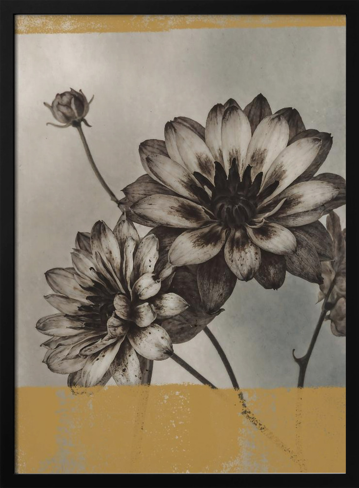 Poster - Vintage Flowers No.6 dark wood poster frame