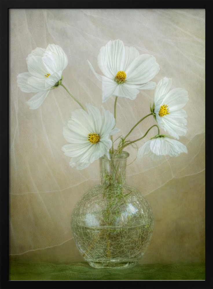 Poster - Cosmos breeze dark wood poster frame
