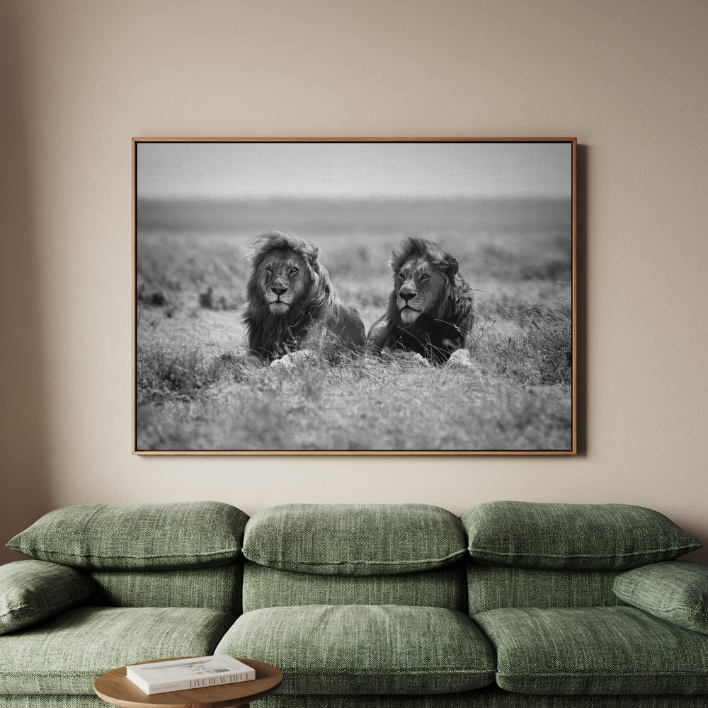 Canvastavla Two kings - Tavla - 100x70
