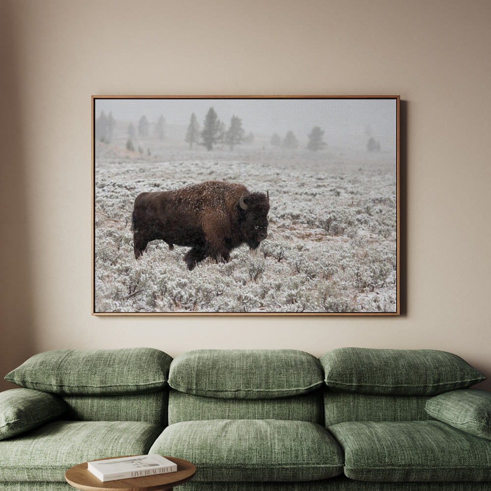 Canvastavla Late Fall Yellowstone - Tavla - 100x70
