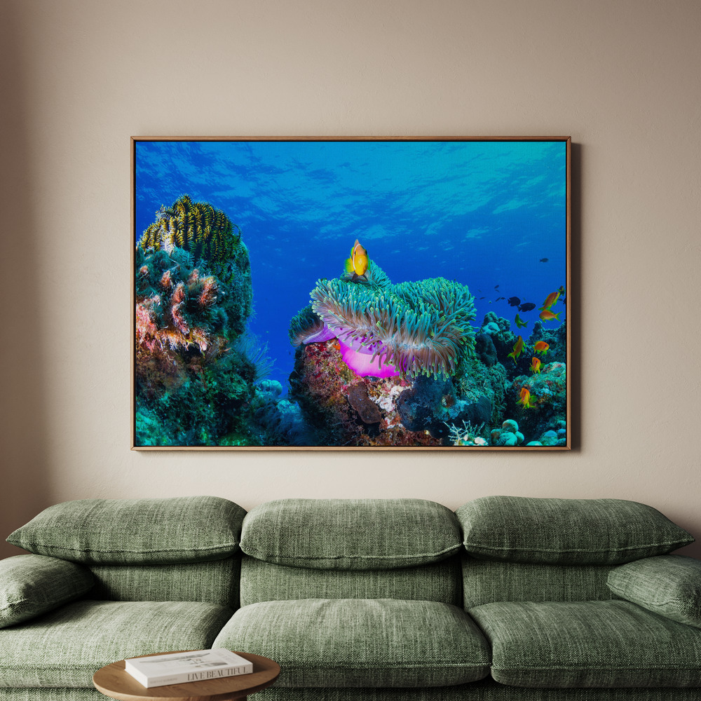 Canvastavla Sea life - Tavla - 150x100